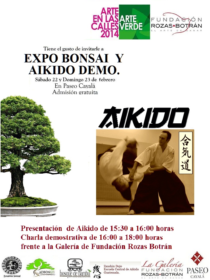 Afiche Exposición Bonsai y Aikido cayalá 2014.1