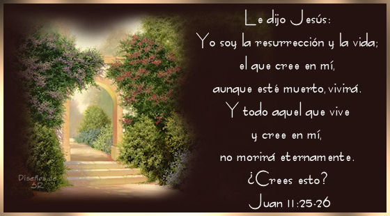 Yo soy la resurrección y la vida el que cree en mí